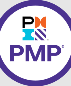 Project Management Professional PMP Class
